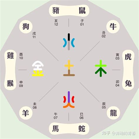 火马命|生肖属相五行对照表 十二生肖与五行对照表